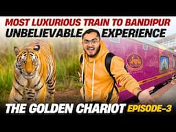 Most Luxurious Train to Bandipur - THE GOLDEN CHARIOT | Indian Railways | Bandipur Jungle Safari