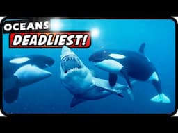 Why Orcas Are More Dangerous Than Sharks: Shocking Facts! | Absolute Nature