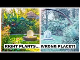 A Winter Visit to Mark's Crazy Tiki Garden - Exotic Plant Update January 2025