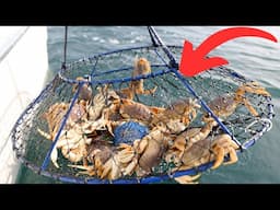 Dungeness Crab Fishing - GAUGE BUSTERS