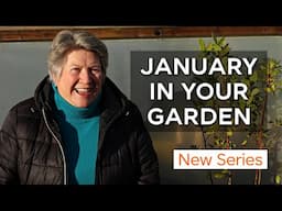 What to do in garden January | Monthly gardening guide