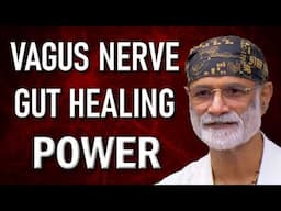 How the Vagus Nerve Heals Your Gut: The Key to Digestive Health and Healing