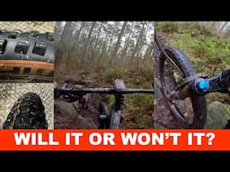 Schwalbe Wicked Will: Will Schwalbe's XC/DC/Trail tire work for you?