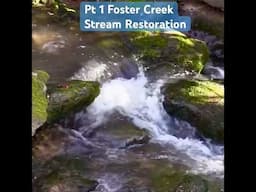 Pt 1 Foster Creek Stream Restoration