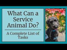 What Can a Service Animal Do? // A Complete List of Tasks