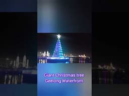 CHRISTMAS TREE GEELONG WATERFRONT