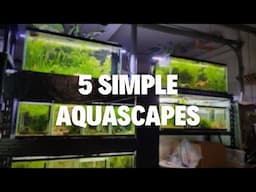 Aquascaping Shouldn't Be Complicated - 5 Easy Scapes