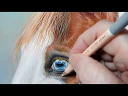 Horse With Blue Eye Pastel Demo