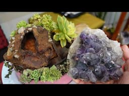 COLLECT ROCKS TO USE AS  SUCCULENT PLANTER