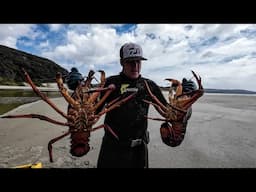 Diving & Fishing | NZ East Coast