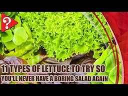 11 Types of Lettuce to Try So You'll Never Have a Boring Salad Again