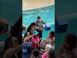 She didn’t expect this to happen 💀👏 Tom mime Seaworld #seaworldmime #funny #tomthemime #comedy