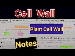 Structure and functions of cell wall | cell wall | Structure and functions of cell wall notes