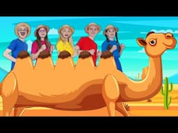 Alice the Camel 🐫 Nursery Rhymes & Kids Songs