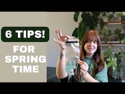 How to get the best and biggest growth for your houseplants in spring time!