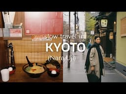 Kyoto travel - Deer in Nara, Matcha in Uji, sushi and ramen | Nomad diary