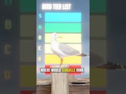 Are Seagulls Overpowered?