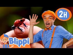 Blippi's Creepy Crawlies! | Educational Kids Videos | Fun Compilations