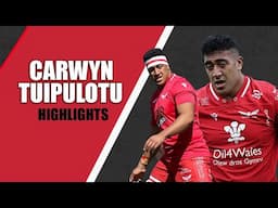 Two Years On From His Last Highlights Reel, Carwyn Tuipulotu Is RIPPING It Up In The Pro Game