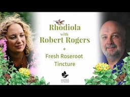 Rhodiola with Robert Rogers + Fresh Roseroot Tincture