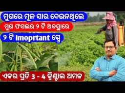 ମୁଗ ଚାଷରେ 2ଟି ଅବସ୍ଥାରେ 2ଟି Important Spray ଏକର ପ୍ରତି  3-4 qtl ଅମଳ Moong cultivation