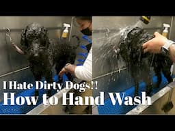 Bathe Your Dogs Right!