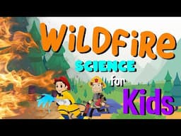 Wildfire | Science for Kids