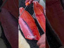 Must See Color Difference of Red vs Coho Salmon  #alaska #salmon #fishing