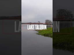 Scenic Lake Talquin