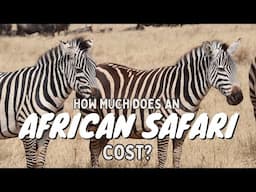 Overland Safari Costs | How to budget for the trip of a lifetime 🦁