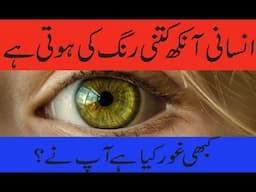 Human Eye Colour - Common Colors Of Human Eye