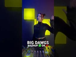 What do you think of this mashup? #shortsvideo #mashup #bigdawg #hiphopculture #indianrap #rapmusic