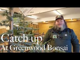 A Quick Catch-up at Greenwood Bonsai Studio