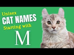 Must-Have Cat Names Starting with Letter "M": Don’t Let Your Kitty Miss Out!"