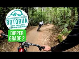 The PERFECT TRAIL to Start | Dipper Trail, Rotorua