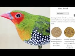 Unlock Your Finches Full Breeding Potential with Our Handmixed Seed Blends!