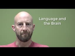 Psycholinguistics: Language and the Brain