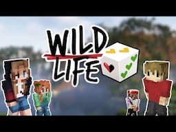 Everything To Know About Wild Life!