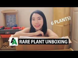 Am I Dreaming? Crazy Rare Plant Unboxing! 6 Stunning Imports from Aroid Asia