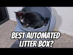 Neakasa M1 Automated Litter Box Review