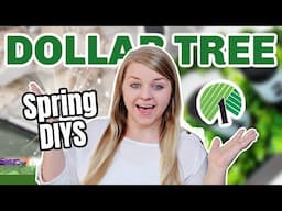 Transform Your Spring with These Dollar Tree DIYs 2025! (Easy but Impressive)