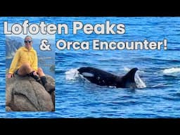 #62 | Sailing Arctic Norway: Nusfjord, Reine, Gaukværøya & An Epic Orca Encounter!