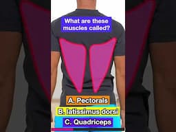 Do you know your muscles? #fitnessexercise #physicaleducationteacher #muscles