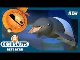 @Octonauts -  🔦 Hide and Seek with the Mysterious Whales 🐋 | Brand New Season 5 | Best Bits!