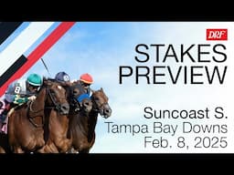 Suncoast Stakes Preview | February 8, 2025