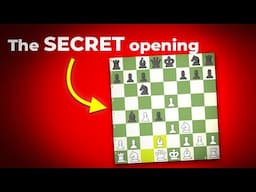 These 5 Chess Openings will Make You Win at Chess