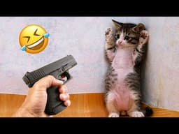 New Funniest Animals 2024 😂 Best Funny Cats and Dogs 😻🐶 Part 30