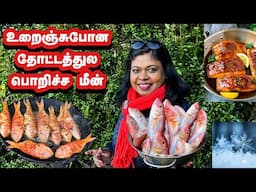 🐠❄️கடும் குளிர்ல கஷ்டப்படறோம் என்ன செய்யறதுனே தெரியல!/ தோட்டத்துல பொறிச்ச மீன்/winter fish fry