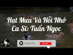 Hạt Mưa Và Nỗi Nhớ - Tuấn Ngọc | Nhạc sĩ: Quốc Dũng