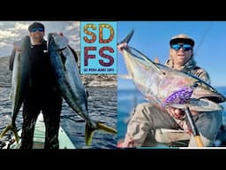 FISHING CALIFORNIA & MEXICO | Where & When 2024 | Yellowtail, Bluefin Tuna, Yellowfin Tuna SDFS